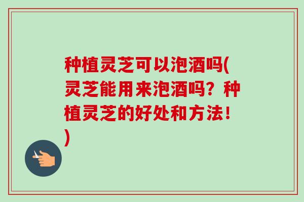 种植灵芝可以泡酒吗(灵芝能用来泡酒吗？种植灵芝的好处和方法！)