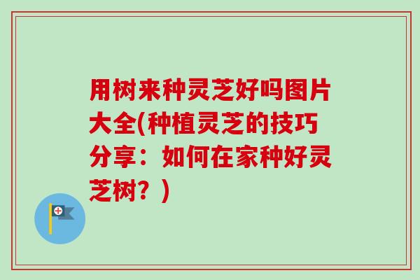 用树来种灵芝好吗图片大全(种植灵芝的技巧分享：如何在家种好灵芝树？)