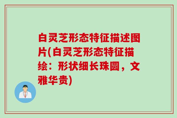 白灵芝形态特征描述图片(白灵芝形态特征描绘：形状细长珠圆，文雅华贵)