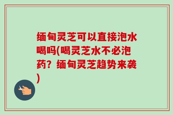 缅甸灵芝可以直接泡水喝吗(喝灵芝水不必泡药？缅甸灵芝趋势来袭)