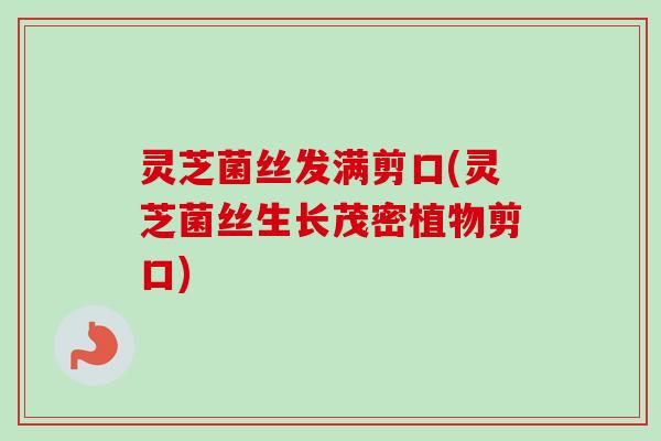 灵芝菌丝发满剪口(灵芝菌丝生长茂密植物剪口)