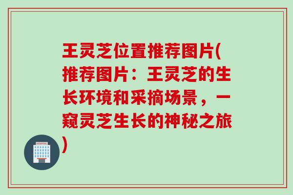 王灵芝位置推荐图片(推荐图片：王灵芝的生长环境和采摘场景，一窥灵芝生长的神秘之旅)