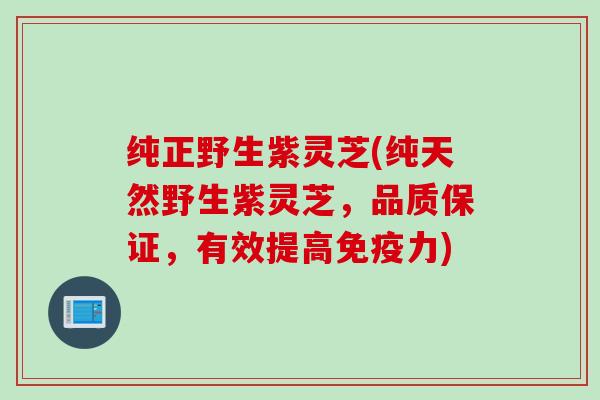 纯正野生紫灵芝(纯天然野生紫灵芝，品质保证，有效提高免疫力)