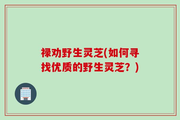 禄劝野生灵芝(如何寻找优质的野生灵芝？)