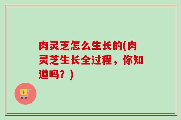 肉灵芝怎么生长的(肉灵芝生长全过程，你知道吗？)