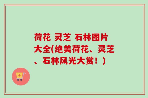 荷花 灵芝 石林图片大全(绝美荷花、灵芝、石林风光大赏！)