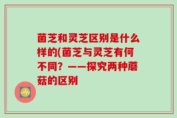菌芝和灵芝区别是什么样的(菌芝与灵芝有何不同?——探究两种蘑菇的区别 菌芝和灵芝区别是什么样的(菌芝与灵芝有何不同?——探究两种蘑菇的区别