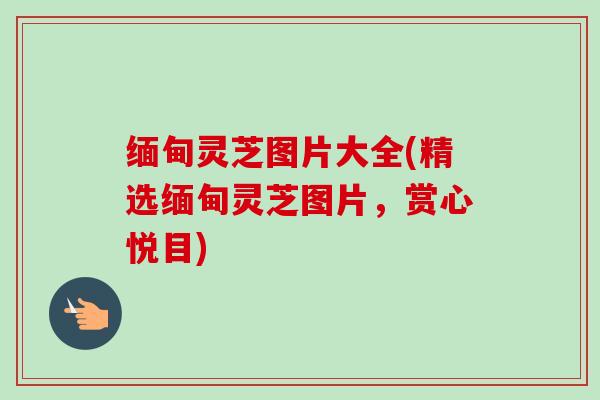 缅甸灵芝图片大全(精选缅甸灵芝图片，赏心悦目)