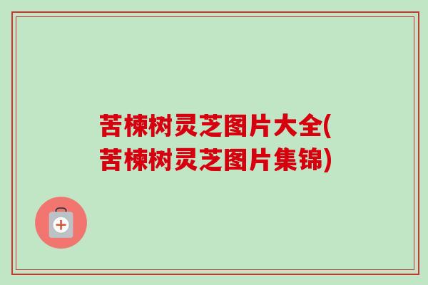 苦楝树灵芝图片大全(苦楝树灵芝图片集锦)