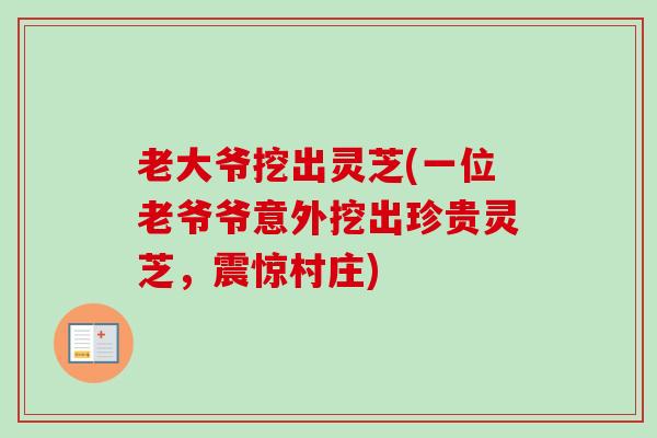 老大爷挖出灵芝(一位老爷爷意外挖出珍贵灵芝，震惊村庄)