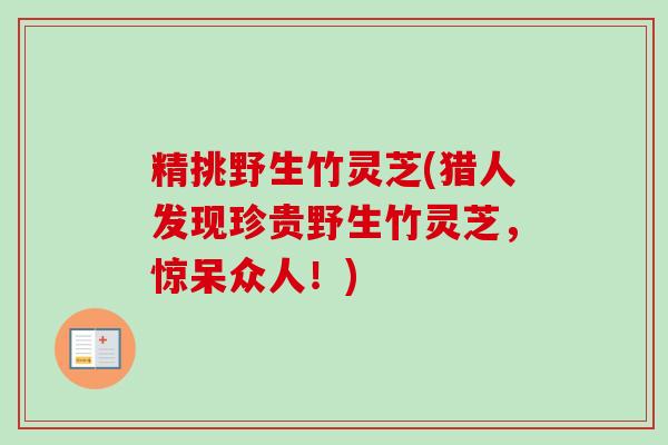 精挑野生竹灵芝(猎人发现珍贵野生竹灵芝，惊呆众人！)