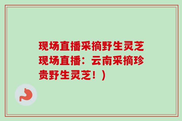 现场直播采摘野生灵芝现场直播:云南采摘珍贵野生灵芝!) 现场直播采摘野生灵芝现场直播:云南采摘珍贵野生灵芝!)