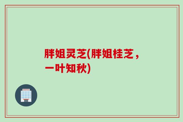 胖姐灵芝(胖姐桂芝,一叶知秋) 胖姐灵芝(胖姐桂芝,一叶知秋)