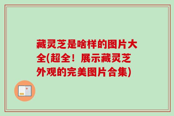 藏灵芝是啥样的图片大全(超全！展示藏灵芝外观的完美图片合集)