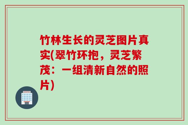 竹林生长的灵芝图片真实(翠竹环抱，灵芝繁茂：一组清新自然的照片)