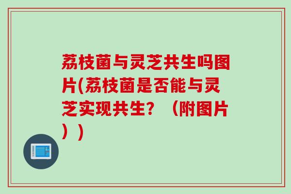 荔枝菌与灵芝共生吗图片(荔枝菌是否能与灵芝实现共生？（附图片）)