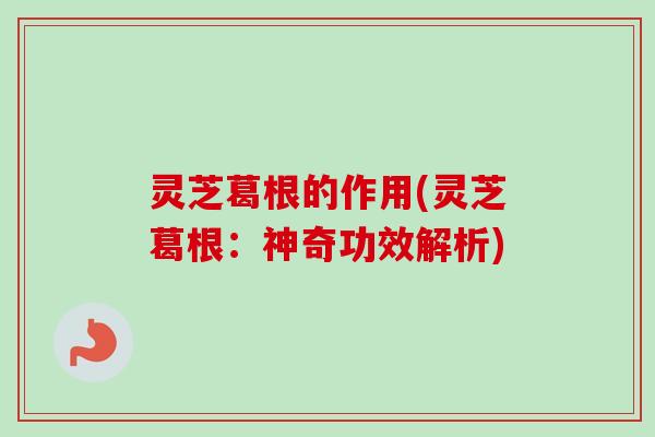 灵芝葛根的作用(灵芝葛根：神奇功效解析)