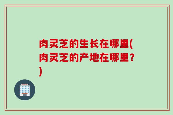 肉灵芝的生长在哪里(肉灵芝的产地在哪里？)