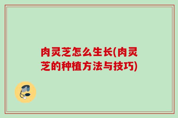 肉灵芝怎么生长(肉灵芝的种植方法与技巧)