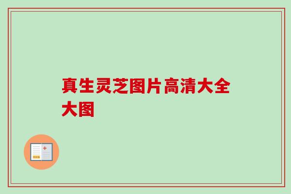 真生灵芝图片高清大全大图