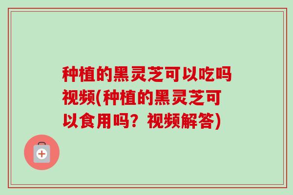 种植的黑灵芝可以吃吗视频(种植的黑灵芝可以食用吗？视频解答)