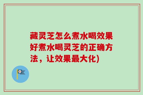 藏灵芝怎么煮水喝效果好煮水喝灵芝的正确方法，让效果最大化)