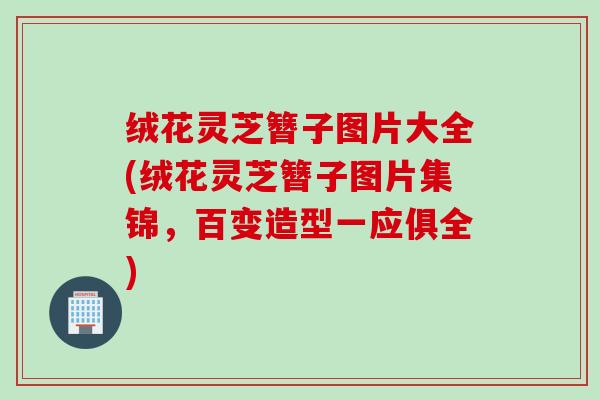 绒花灵芝簪子图片大全(绒花灵芝簪子图片集锦，百变造型一应俱全)
