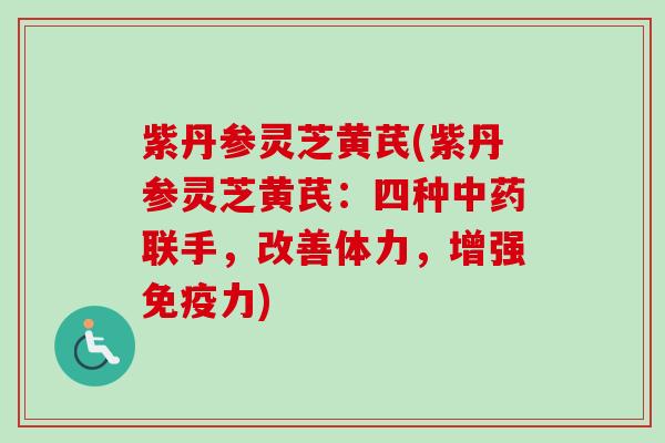 紫丹参灵芝黄芪(紫丹参灵芝黄芪：四种中药联手，改善体力，增强免疫力)