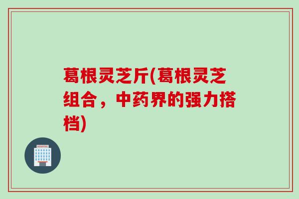 葛根灵芝斤(葛根灵芝组合,界的强力搭档) 葛根灵芝斤(葛根灵芝组合,界的强力搭档)