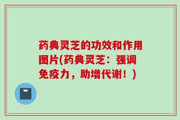 药典灵芝的功效和作用图片(药典灵芝：强调免疫力，助增代谢！)