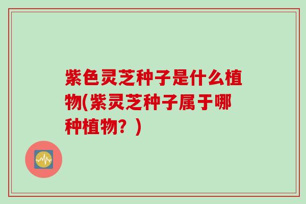紫色灵芝种子是什么植物(紫灵芝种子属于哪种植物？)