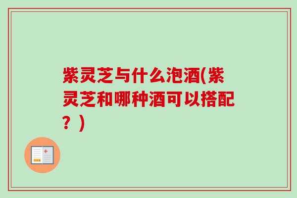 紫灵芝与什么泡酒(紫灵芝和哪种酒可以搭配?) 紫灵芝与什么泡酒(紫灵芝和哪种酒可以搭配?)