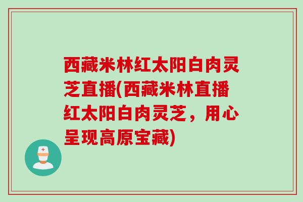 西藏米林红太阳白肉灵芝直播(西藏米林直播红太阳白肉灵芝,用心呈现高原宝藏)