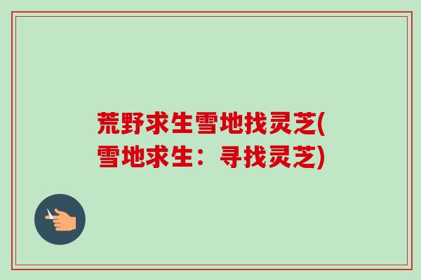 荒野求生雪地找灵芝(雪地求生：寻找灵芝)
