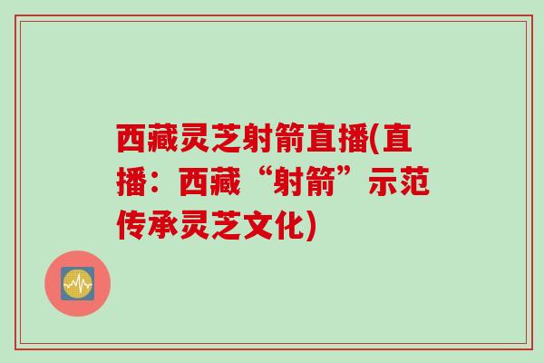 西藏灵芝射箭直播(直播：西藏“射箭”示范传承灵芝文化)