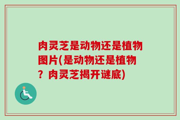 肉灵芝是动物还是植物图片(是动物还是植物？肉灵芝揭开谜底)