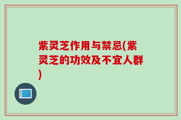 紫灵芝作用与禁忌(紫灵芝的功效及不宜人群)