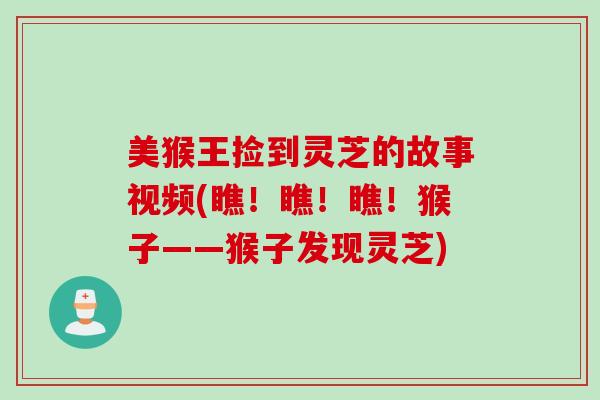 美猴王捡到灵芝的故事视频(瞧！瞧！瞧！猴子——猴子发现灵芝)