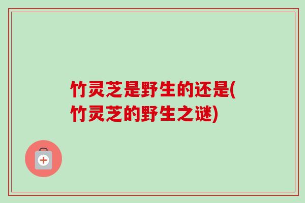 竹灵芝是野生的还是(竹灵芝的野生之谜)