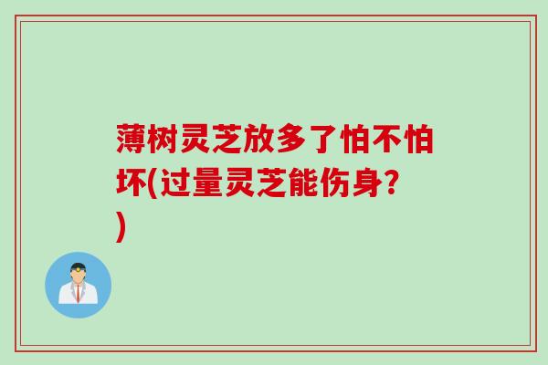 薄树灵芝放多了怕不怕坏(过量灵芝能伤身？)