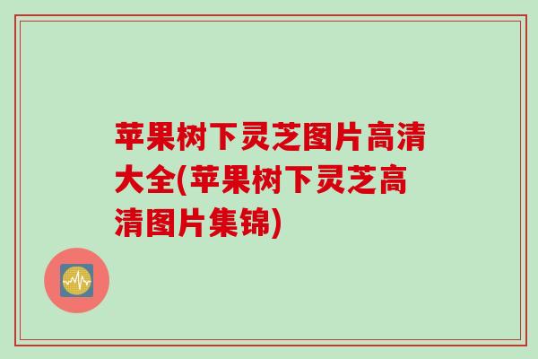 苹果树下灵芝图片高清大全(苹果树下灵芝高清图片集锦) 苹果树下灵芝图片高清大全(苹果树下灵芝高清图片集锦)