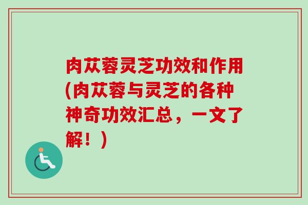肉苁蓉灵芝功效和作用(肉苁蓉与灵芝的各种神奇功效汇总，一文了解！)