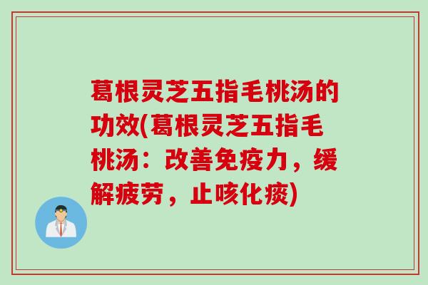 葛根灵芝五指毛桃汤的功效(葛根灵芝五指毛桃汤：改善免疫力，缓解疲劳，止咳化痰)