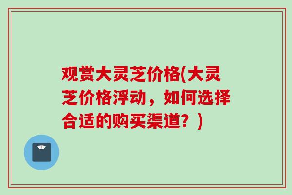 观赏大灵芝价格(大灵芝价格浮动，如何选择合适的购买渠道？)