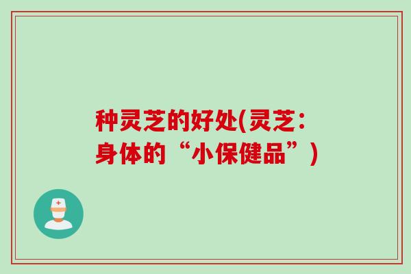 种灵芝的好处(灵芝：身体的“小保健品”)