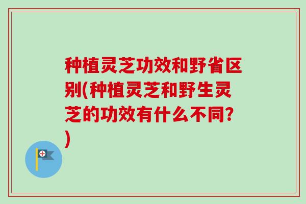 种植灵芝功效和野省区别(种植灵芝和野生灵芝的功效有什么不同？)