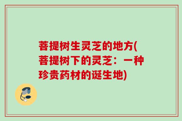 菩提树生灵芝的地方(菩提树下的灵芝：一种珍贵药材的诞生地)