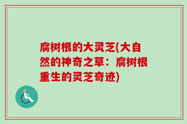 腐树根的大灵芝(大自然的神奇之草：腐树根重生的灵芝奇迹)