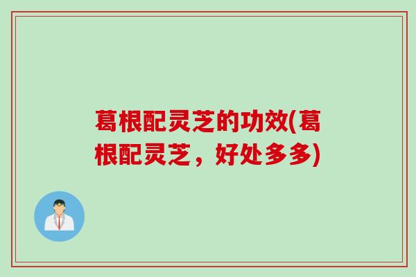 葛根配灵芝的功效(葛根配灵芝，好处多多)