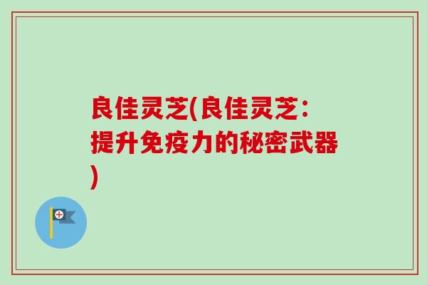 良佳灵芝(良佳灵芝：提升免疫力的秘密武器)
